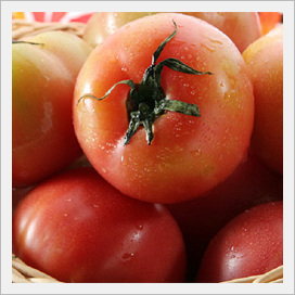 Tomatoes  Made in Korea